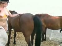 Pet DVD - Horse getting sucked off by tramp